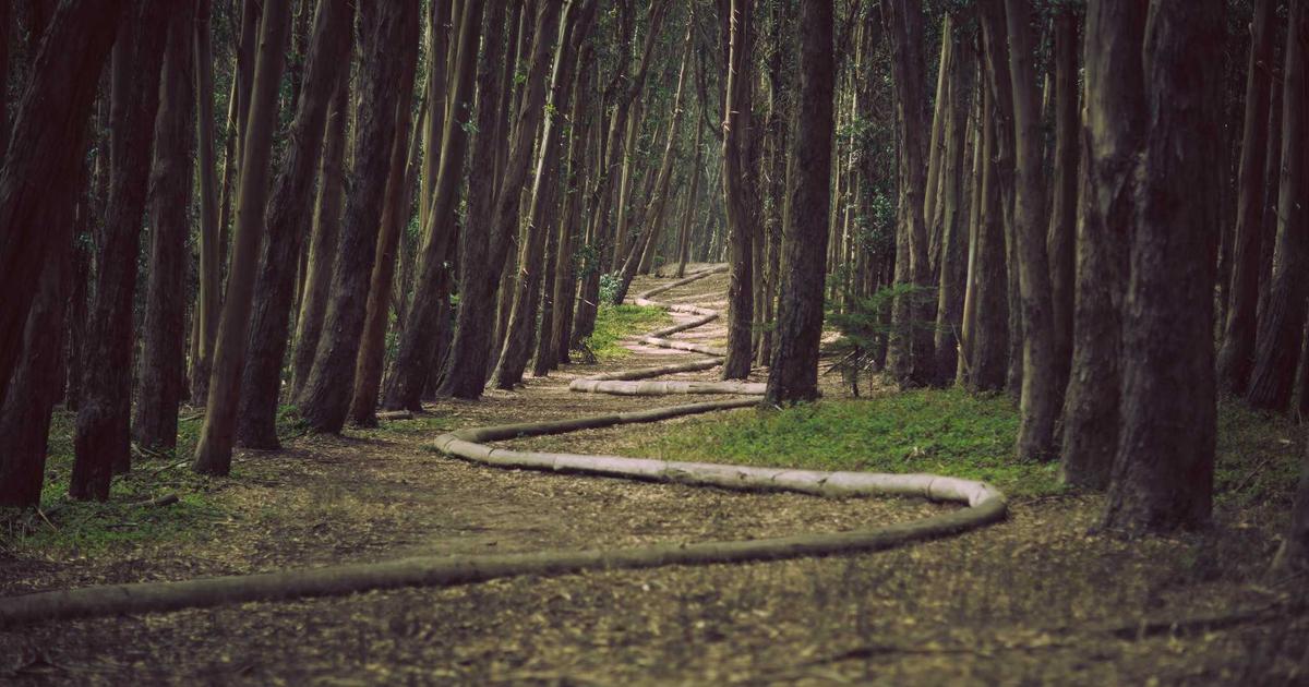 リョウガトレカ10万パック達成！その衝撃の販売力の秘密