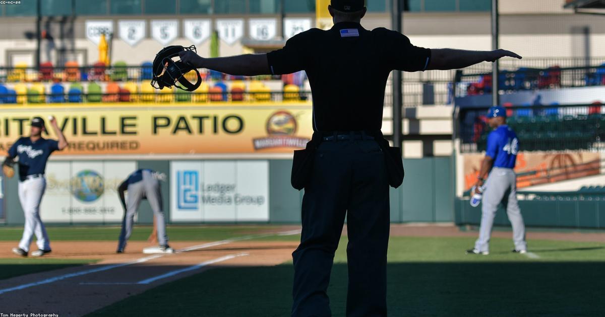 死球抗議の真相：NPB審判文化を深掘り解説