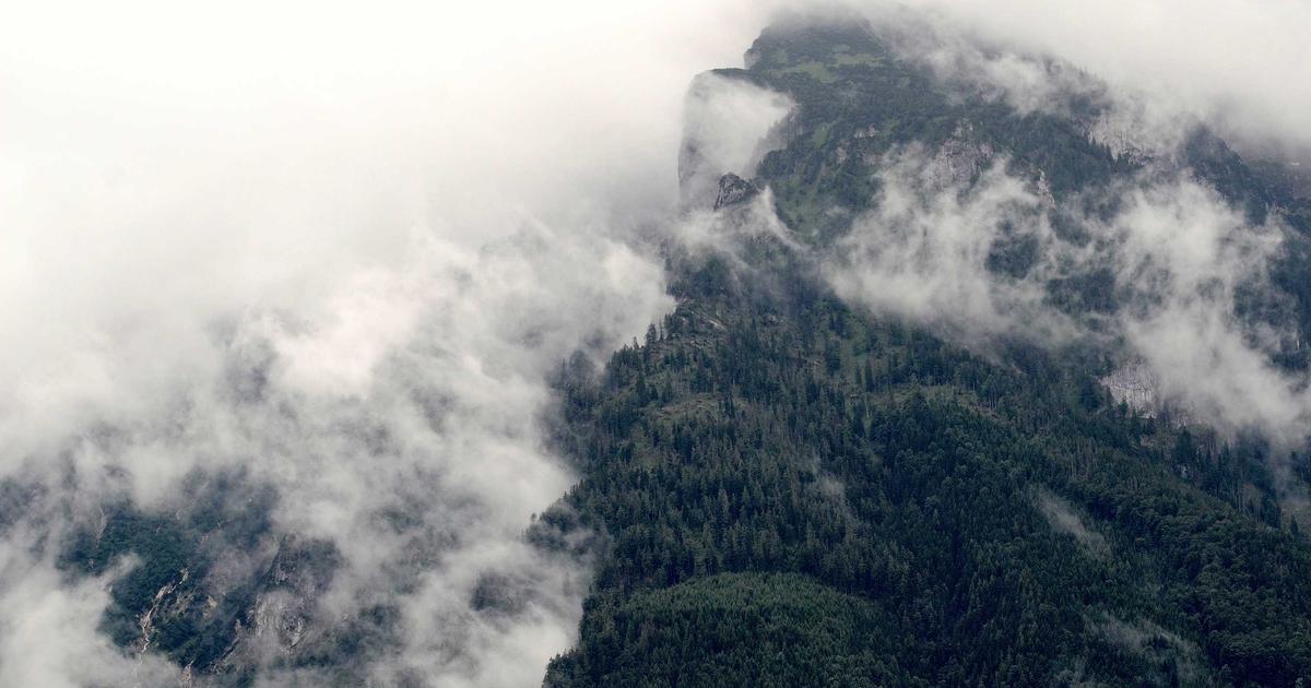 hitomi復活の深層：なぜ今「Choice!」が選ばれたのか