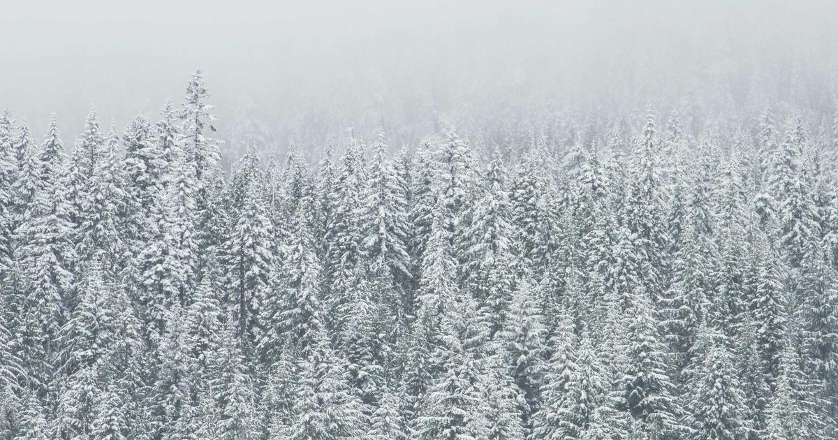 選抜決勝の戦術的構造を深掘り解説