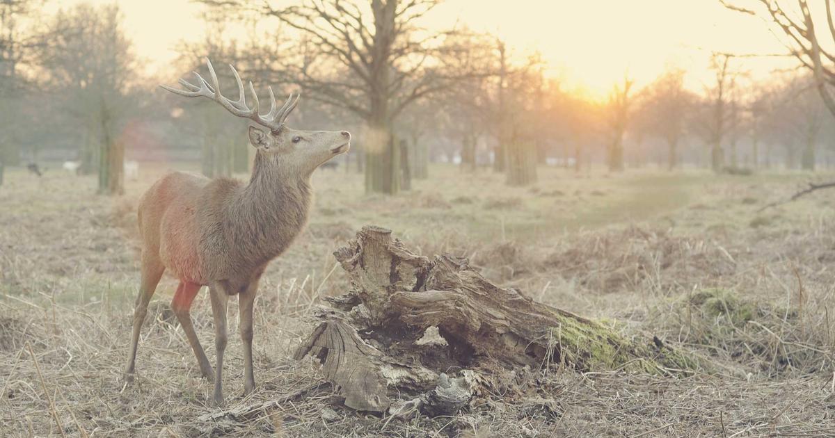 円160円台復帰の本当の理由｜原油高の罠
