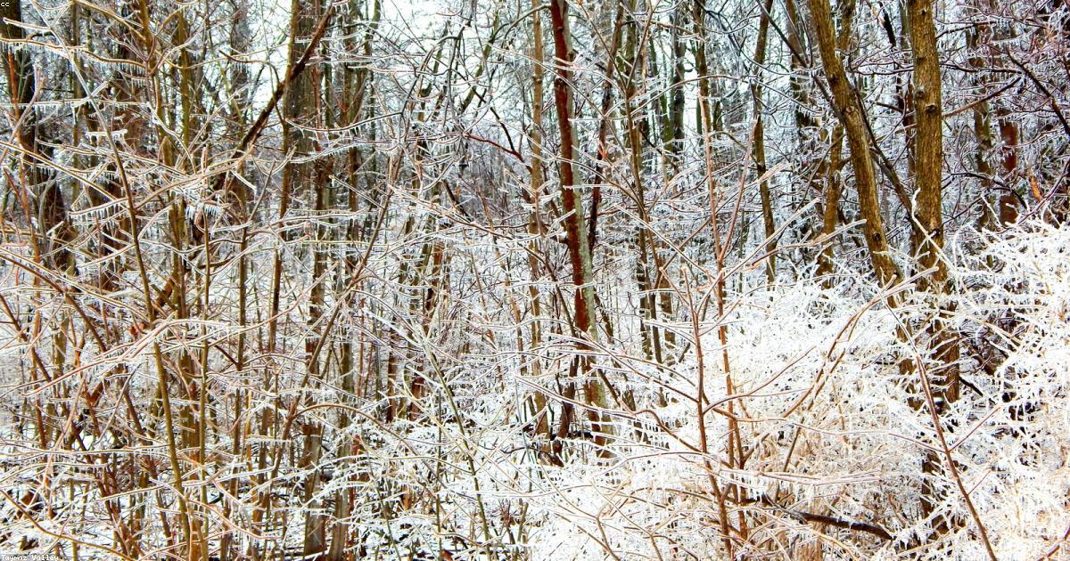 高市早苗首相誕生の深層｜3つの構造要因