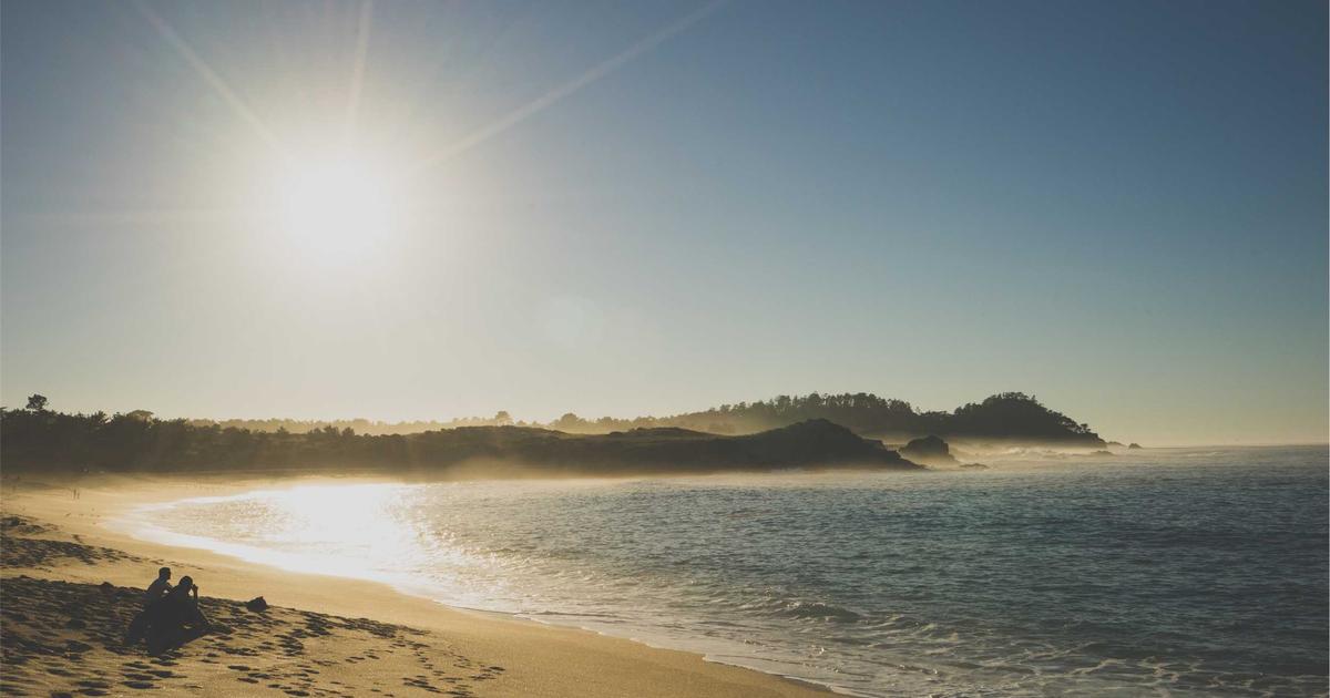 国会議員の高齢化を徹底分析：3つの構造的要因