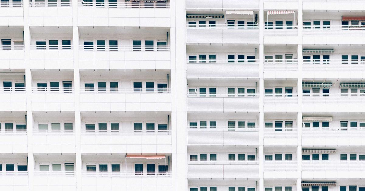 多頭飼いの犬ゲンカを止める5つの解決ステップ