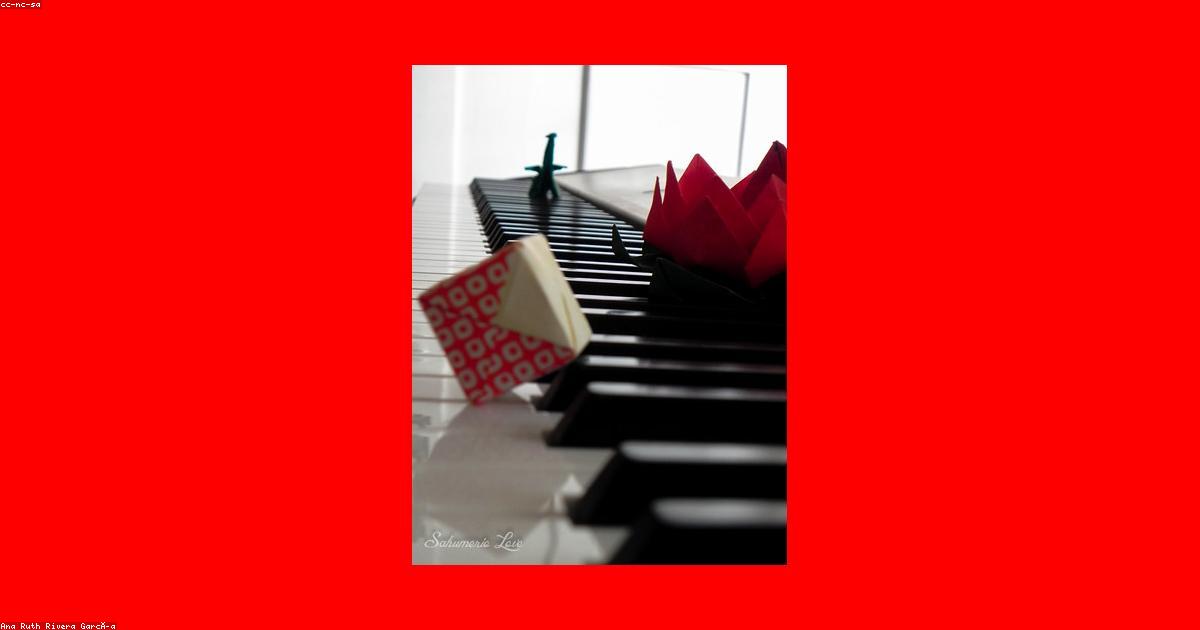 愛犬の肥満を解消する5つのステップと痩せさせるコツ