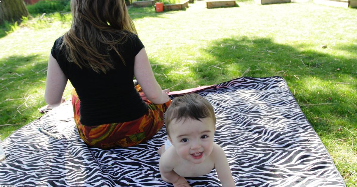 犬の食物アレルギーを改善する5つの食事管理術