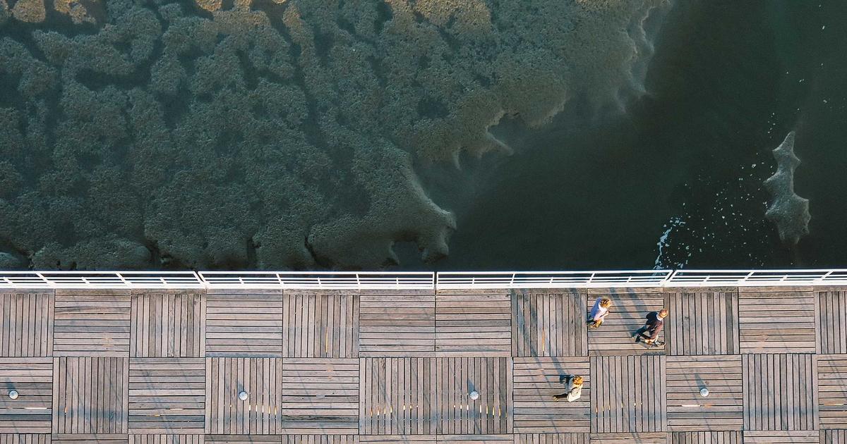 日経最高値更新の真相と6万円への道を解説