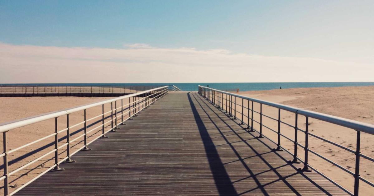 愛犬との絆を深める7つのコミュニケーション術