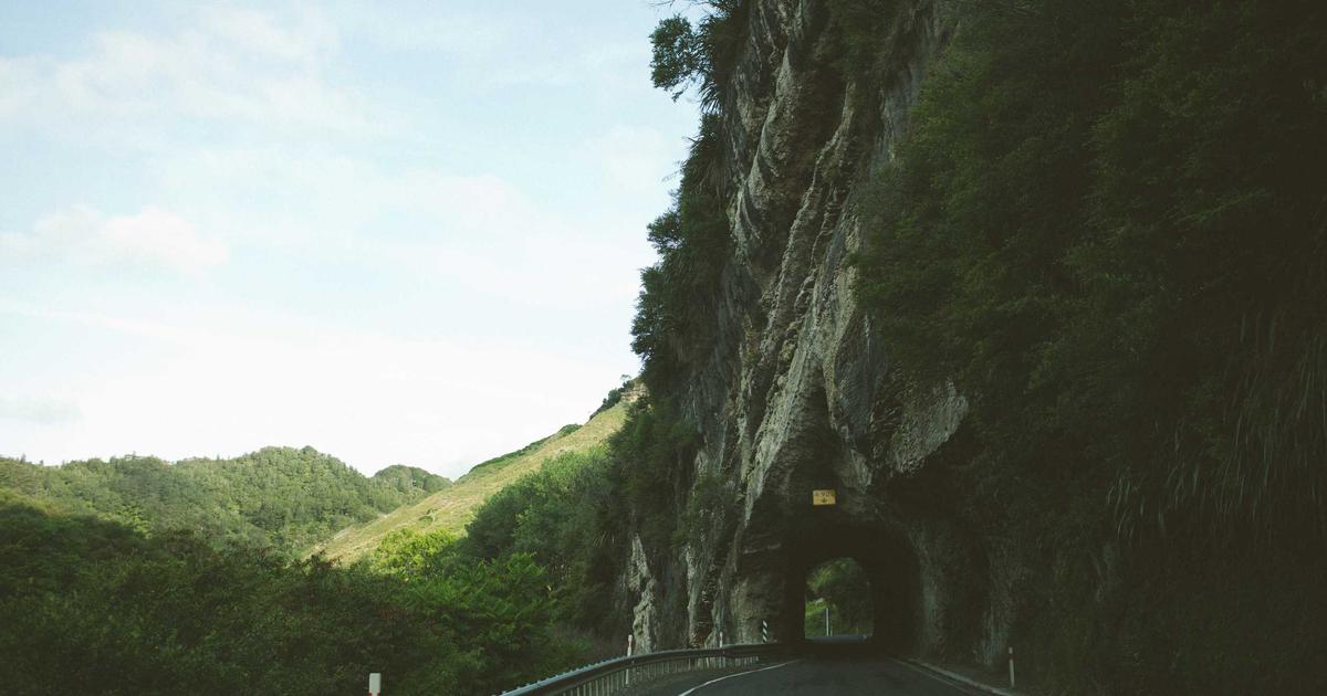 来客に吠える犬を落ち着かせる7つの解決ステップ