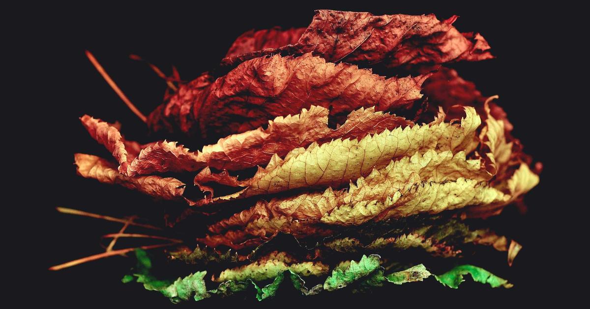 原油96％中東依存の構造的リスクを徹底解剖