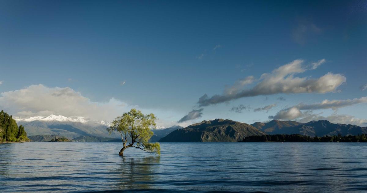 W杯メンバー発表の深層：森保ジャパンの選考基準を解剖