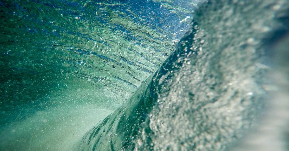 Z世代が投票しない本当の理由を深掘り解説