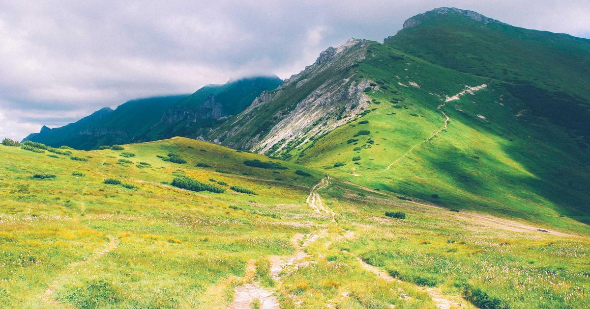 ゴジラ-0.0「絶望の構造」を深掘り考察