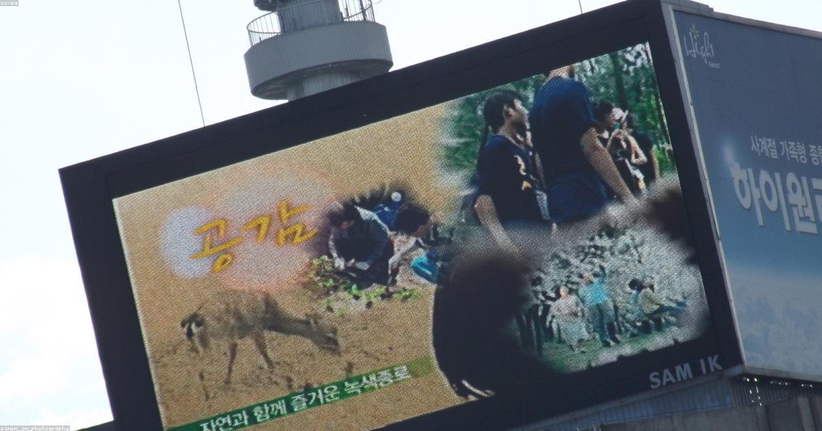 「追跡取材 news LOG」が問うテレビ報道の構造的危機