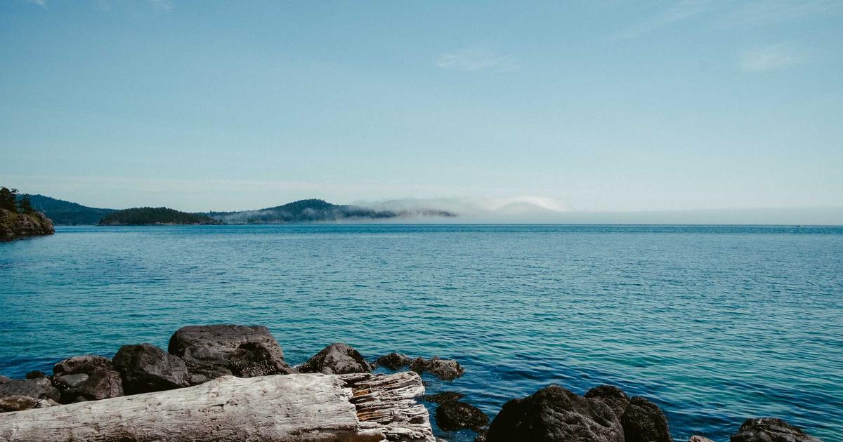 参政党支持拡大の深層：「左傾化」言説が刺さる理由