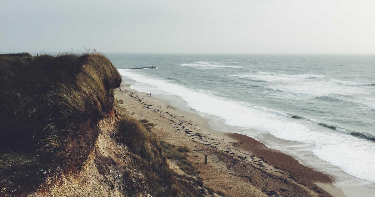 なぜニールセン監督は去ったのか？なでしこ再建の真相