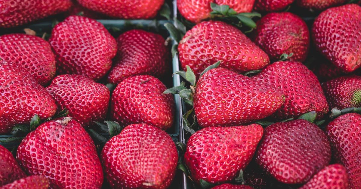 ブッフォン辞任の真相：イタリア代表崩壊の深層