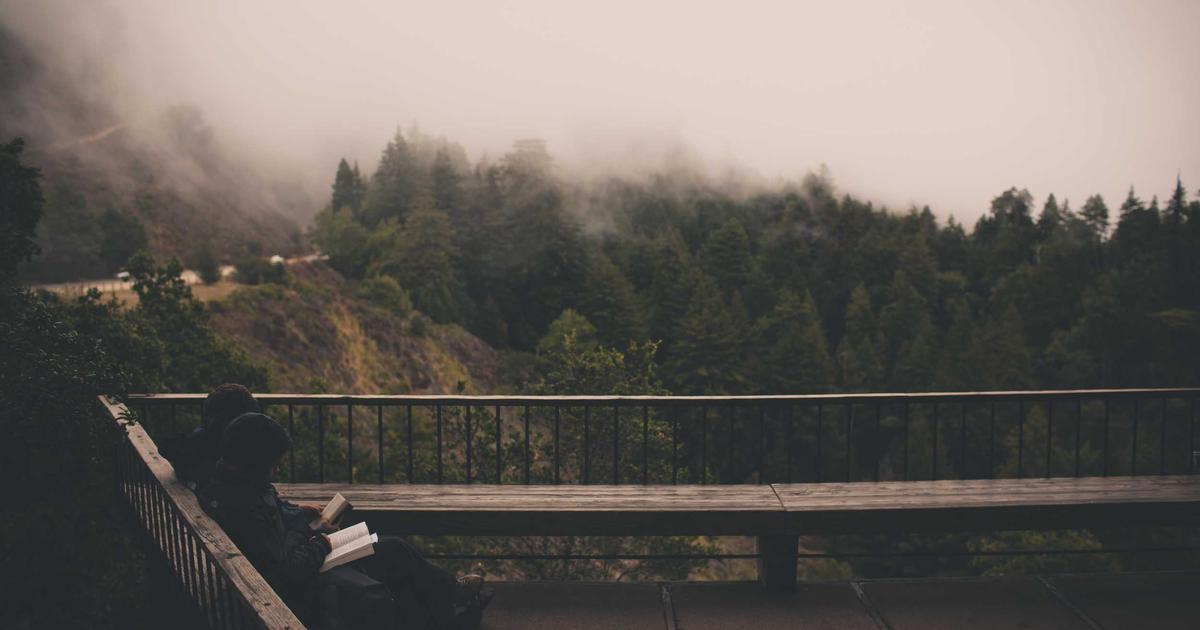 日本の投票率低下：民主主義の危機を深掘り解説