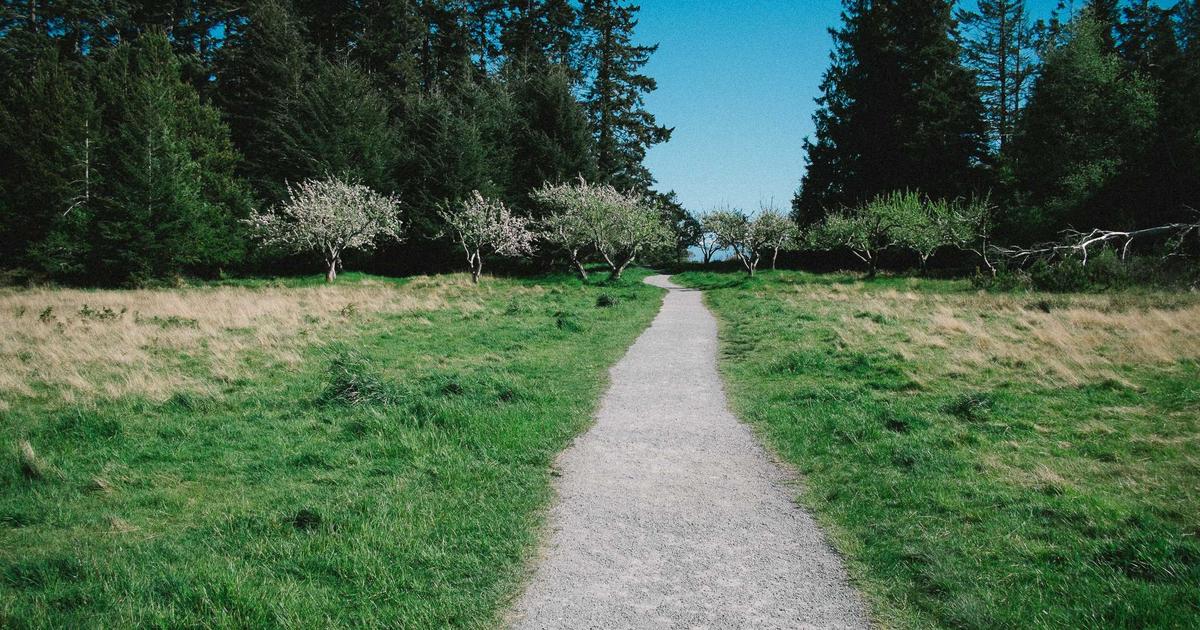 ホルムズ封鎖の深層：日本のエネルギー安保の死角