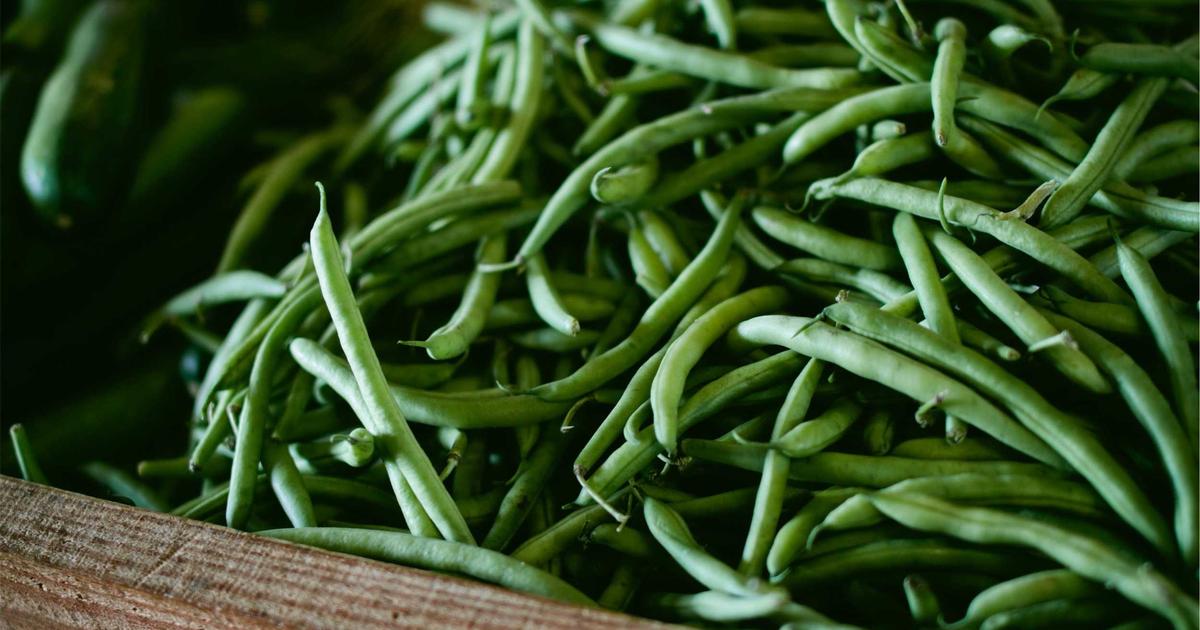 マイコラス崩壊の構造的原因を深掘り解説