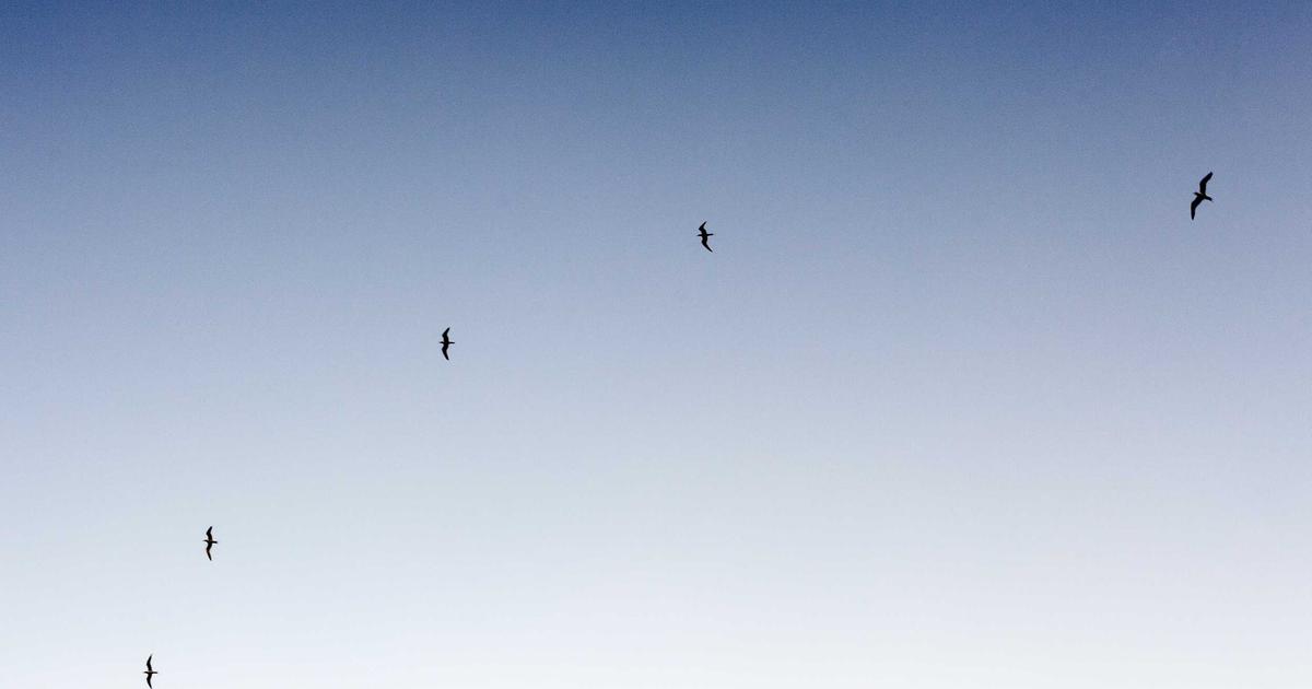 市川團十郎を笑わせる挑戦が示すバラエティ進化論