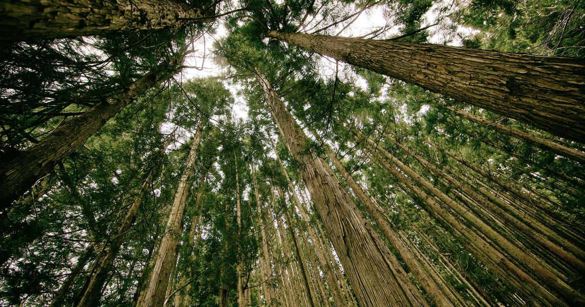 石油供給問題の深層：日本エネルギー安保の真実