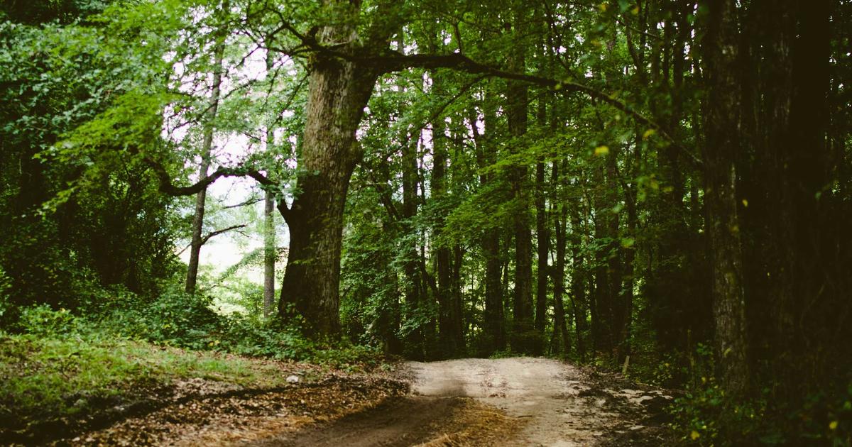 石油供給「年越し確保」の深層：日本の脆弱性と戦略