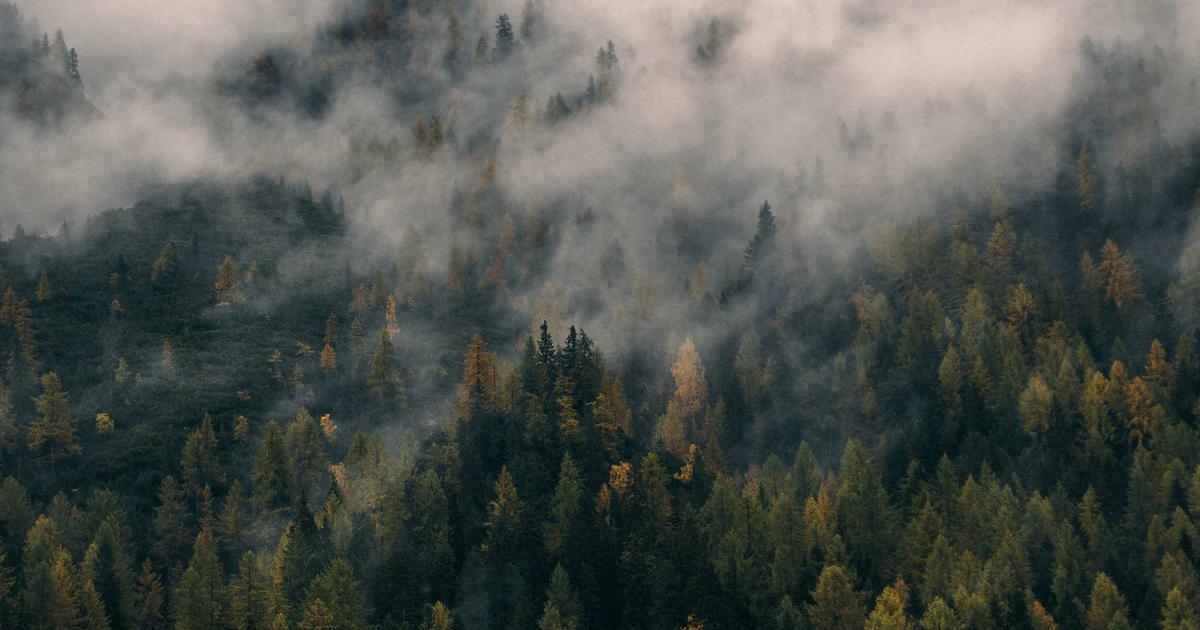 「月夜行路」不幸妻キャスティングの深層を解剖