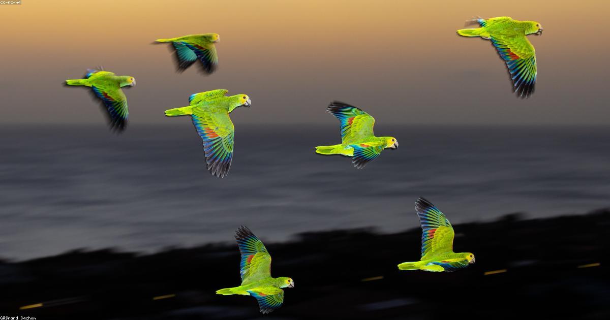 ジョン万次郎が大河主役の深い意味を解説