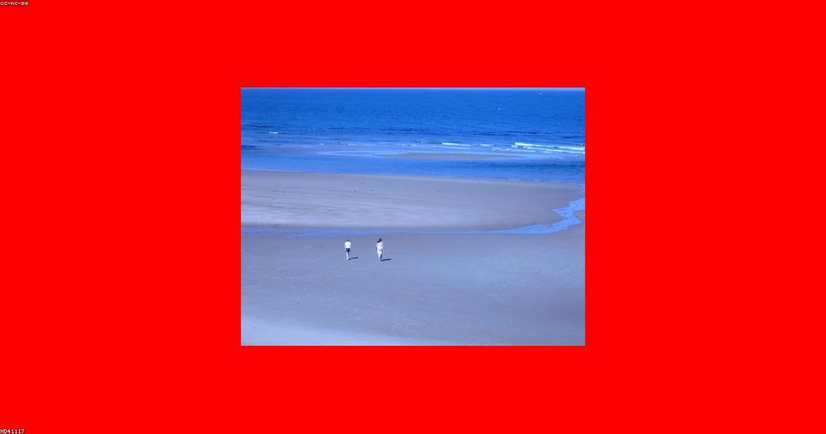 川栄李奈離婚が示す芸能結婚の構造的矛盾