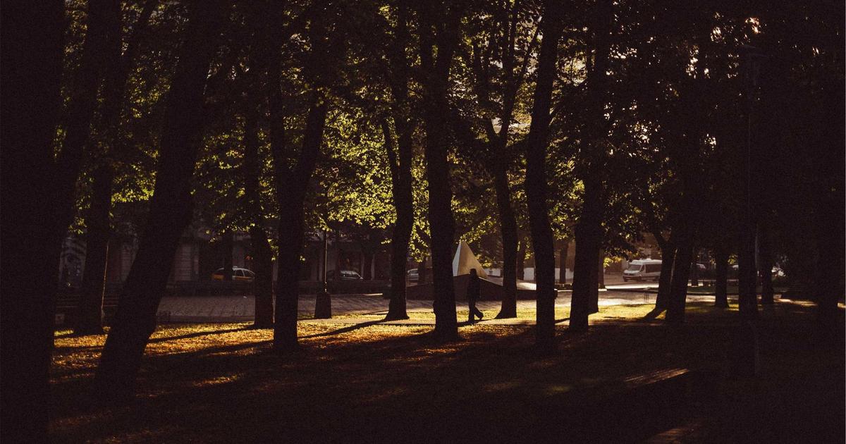 中島裕翔・新木優子婚に見る芸能界変容の深層