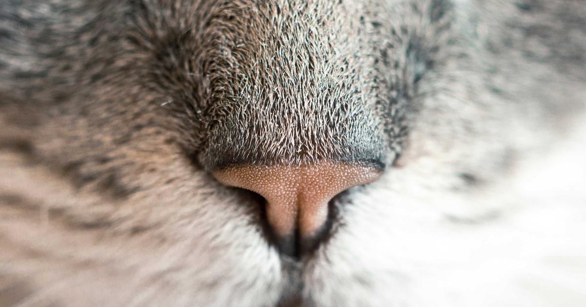 コナン映画主題歌が名曲になる理由を深掘り