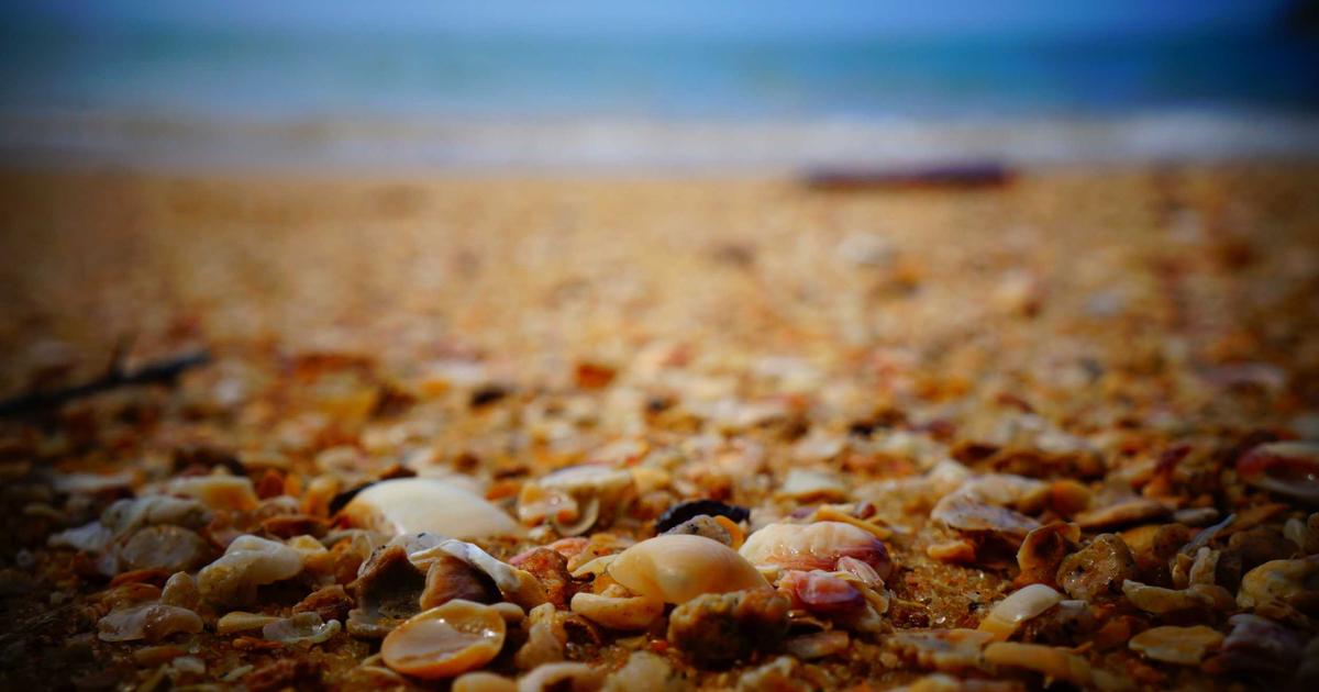 ホルムズ封鎖が日本に突きつける5000億円の現実