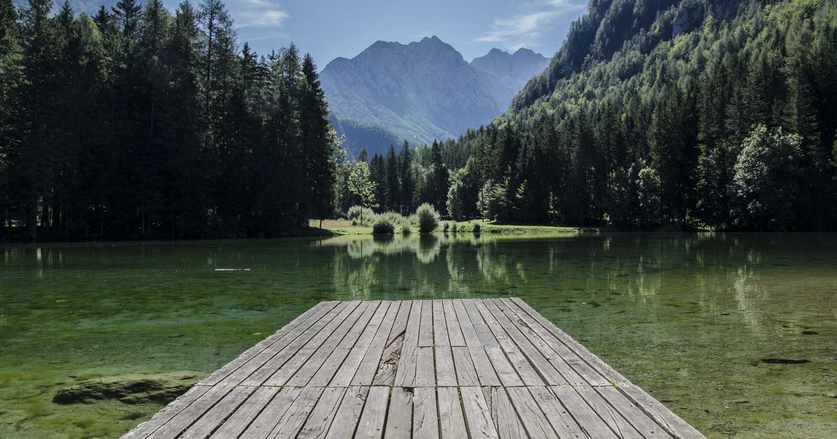 高市「国論二分」政策の本質と選挙の深層