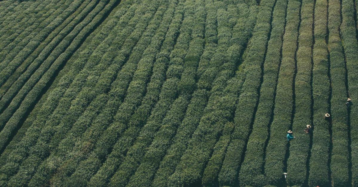 ガルアワに超特急はなぜ？融合戦略の裏側