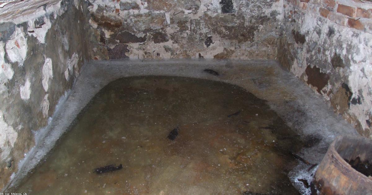 衣料品値上げの裏側｜繊維高騰の構造を徹底解説