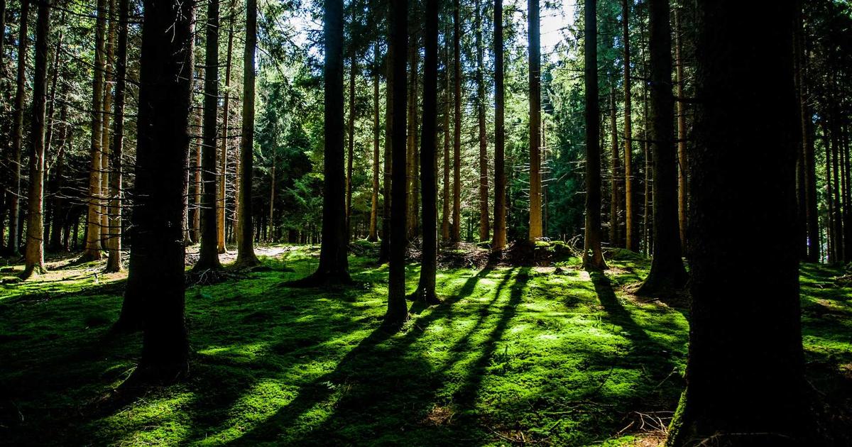 党首が議員でない政党の深層を徹底解説