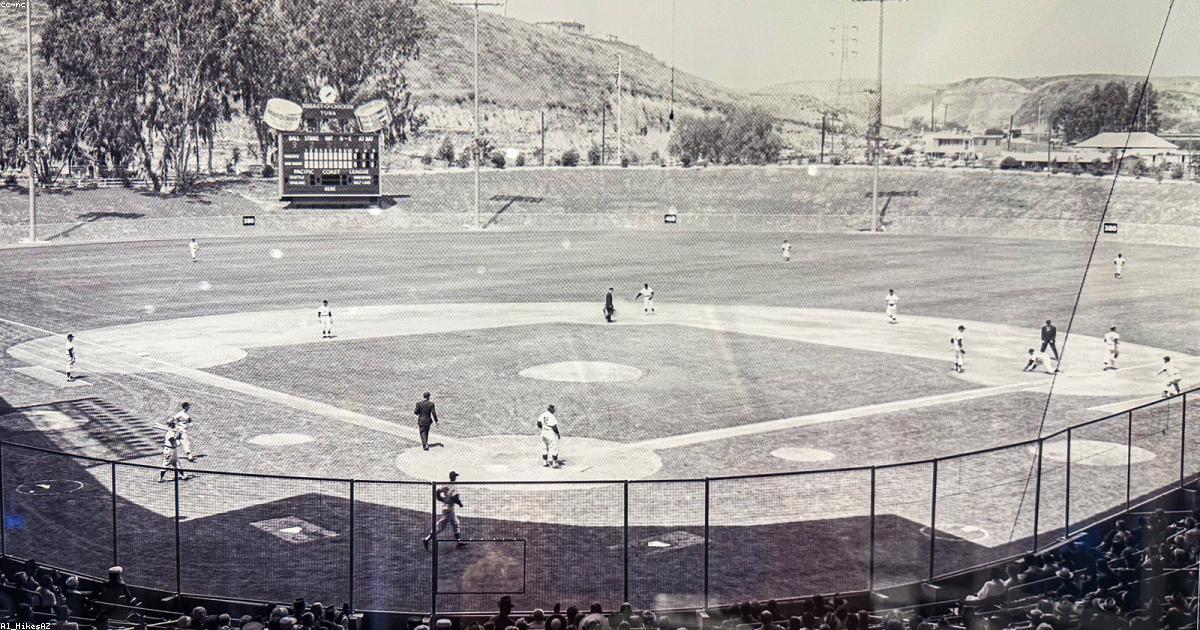 新庄ハム快進撃の構造的理由を徹底分析