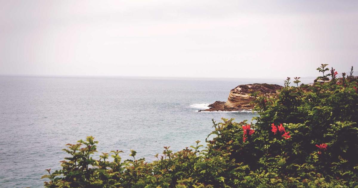 イラン戦争と米株急落の深い構造を徹底解説