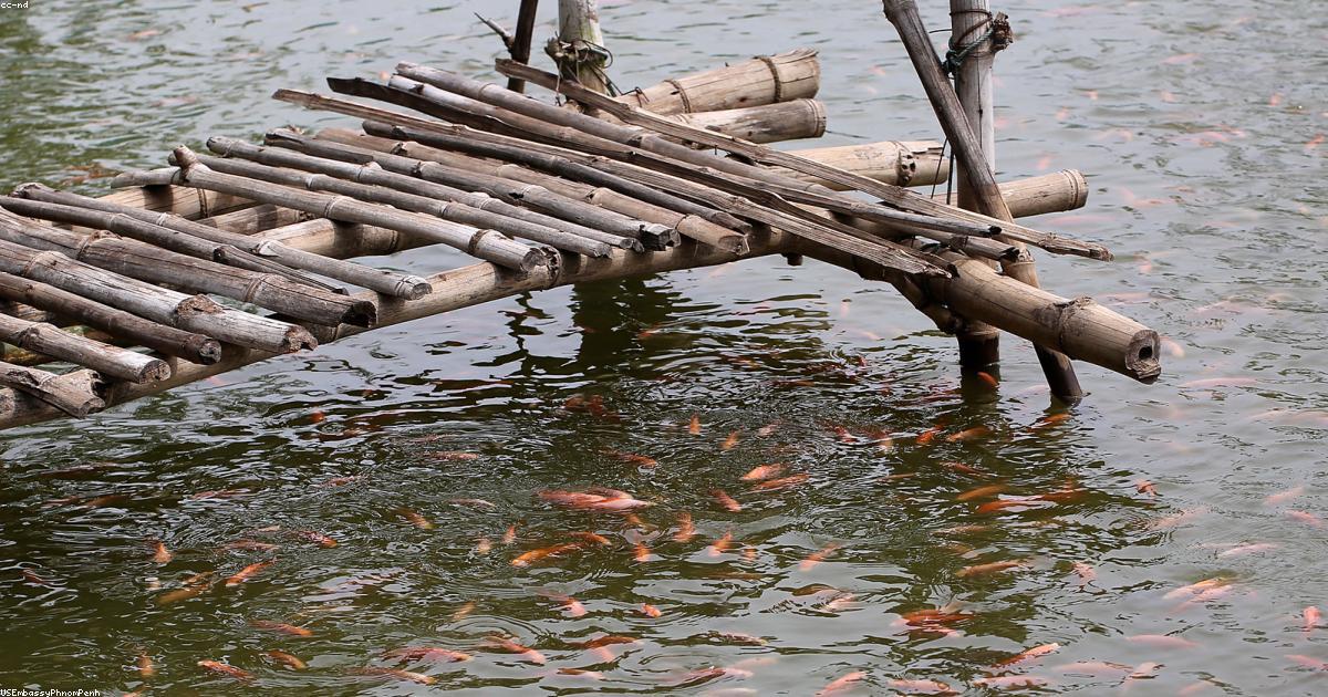 米消費者マインド最低水準の本当の理由を徹底解説