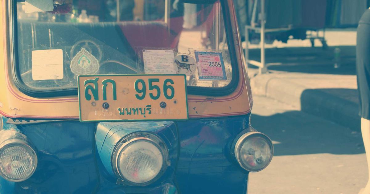 抱っこから降ろすと噛む犬を直す5つの手順