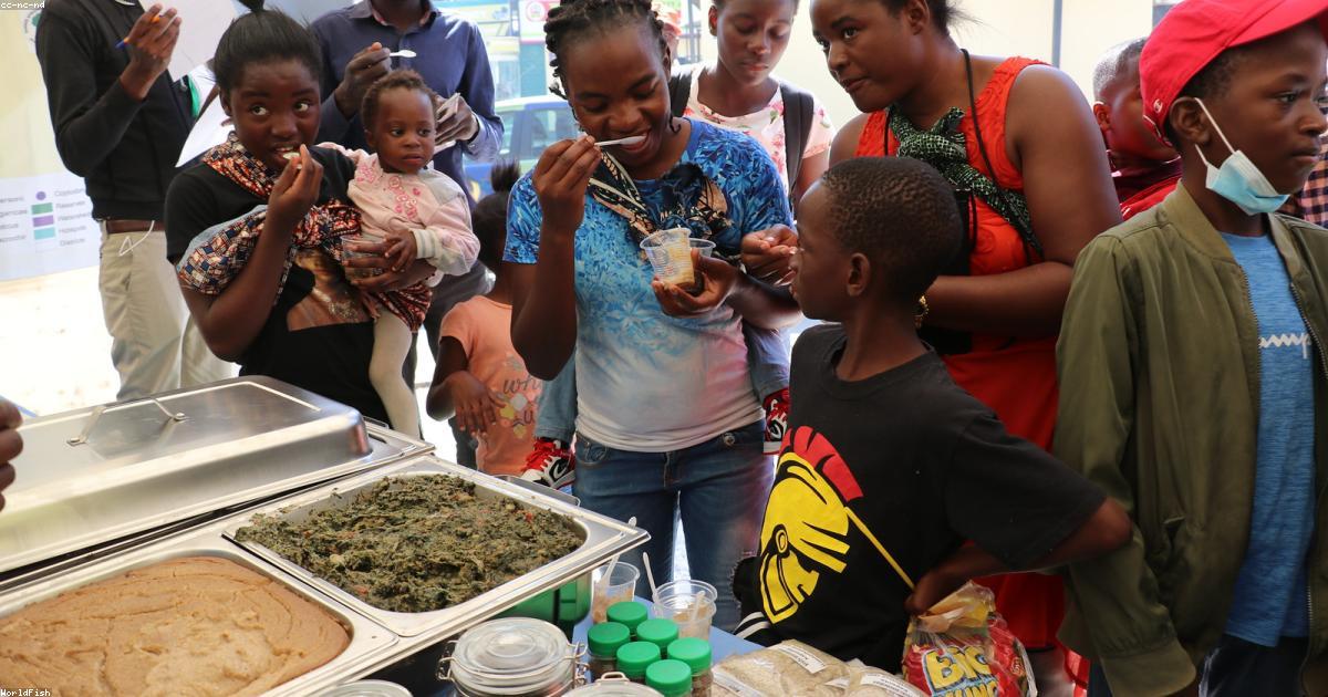 離乳食を食べない悩みを解決する7つの対処法