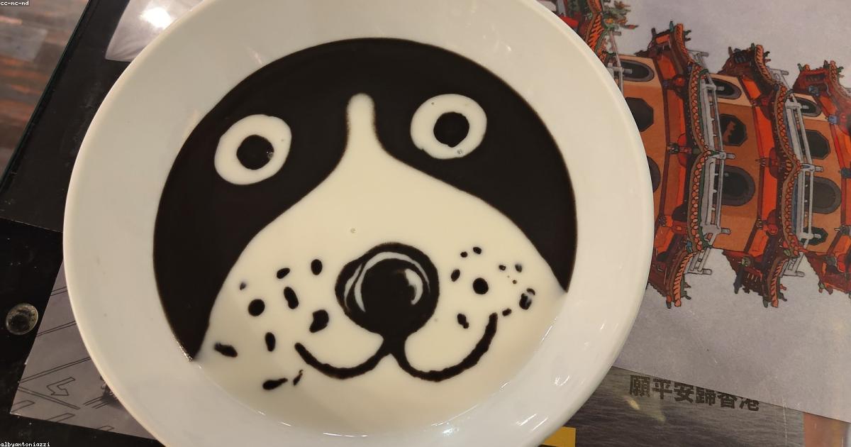 犬がご飯を食べない時の原因と今日試せる7つの解決法