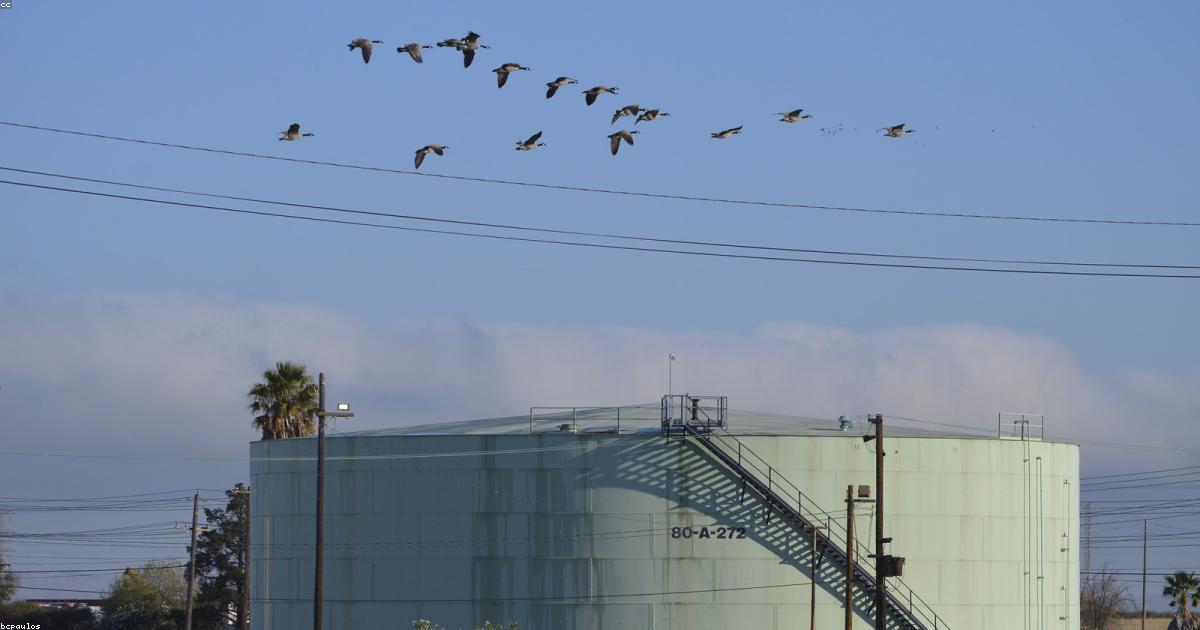 ナフサ供給確保の裏側を徹底解説