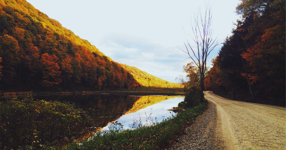大谷vs岡本が示すMLB日本人戦略の深層