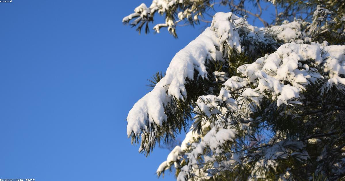 一人遊びの我が子に親ができる5つの解決ステップ