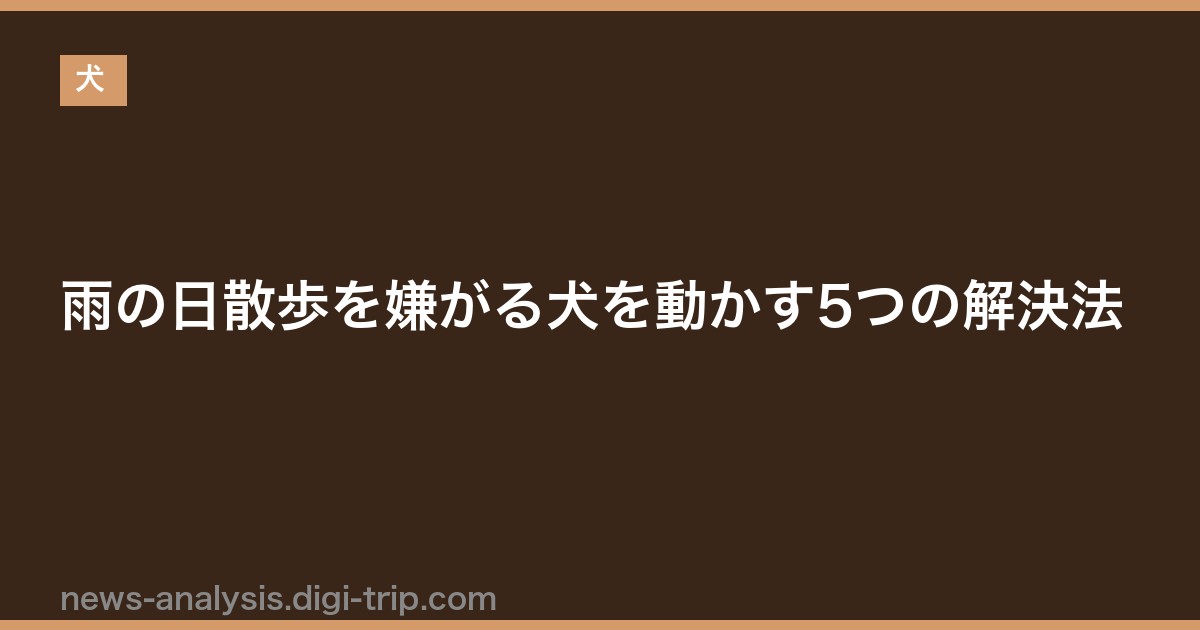 雨の日散歩を嫌がる犬を動かす5つの解決法