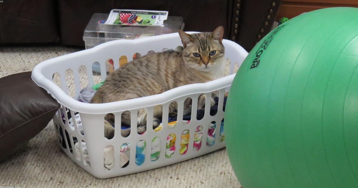 洗濯物の山を解消する5つの脱・たたまない収納術