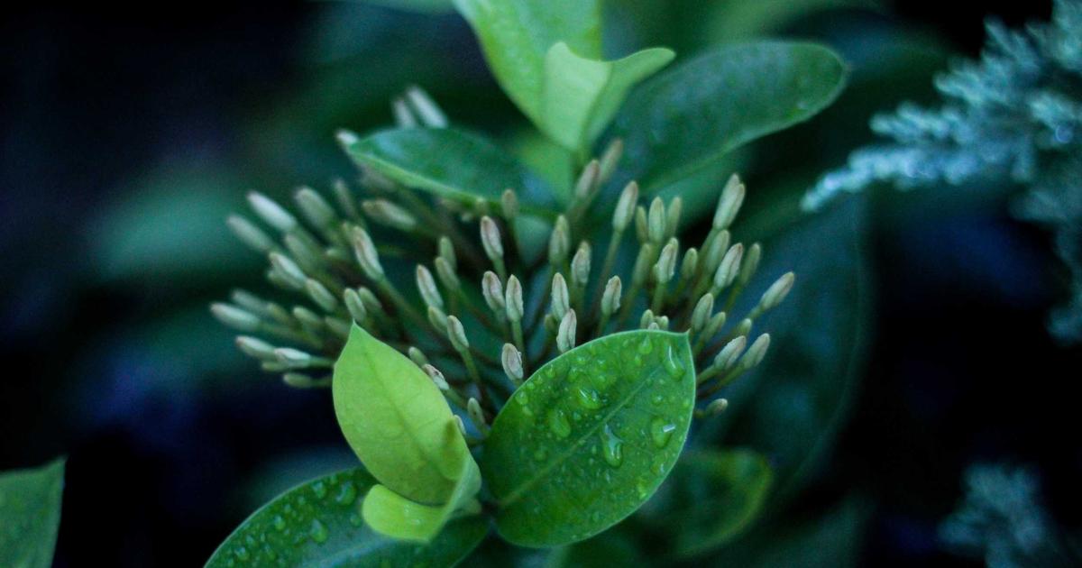 確定申告の控除漏れを防ぐ7つの見直し術