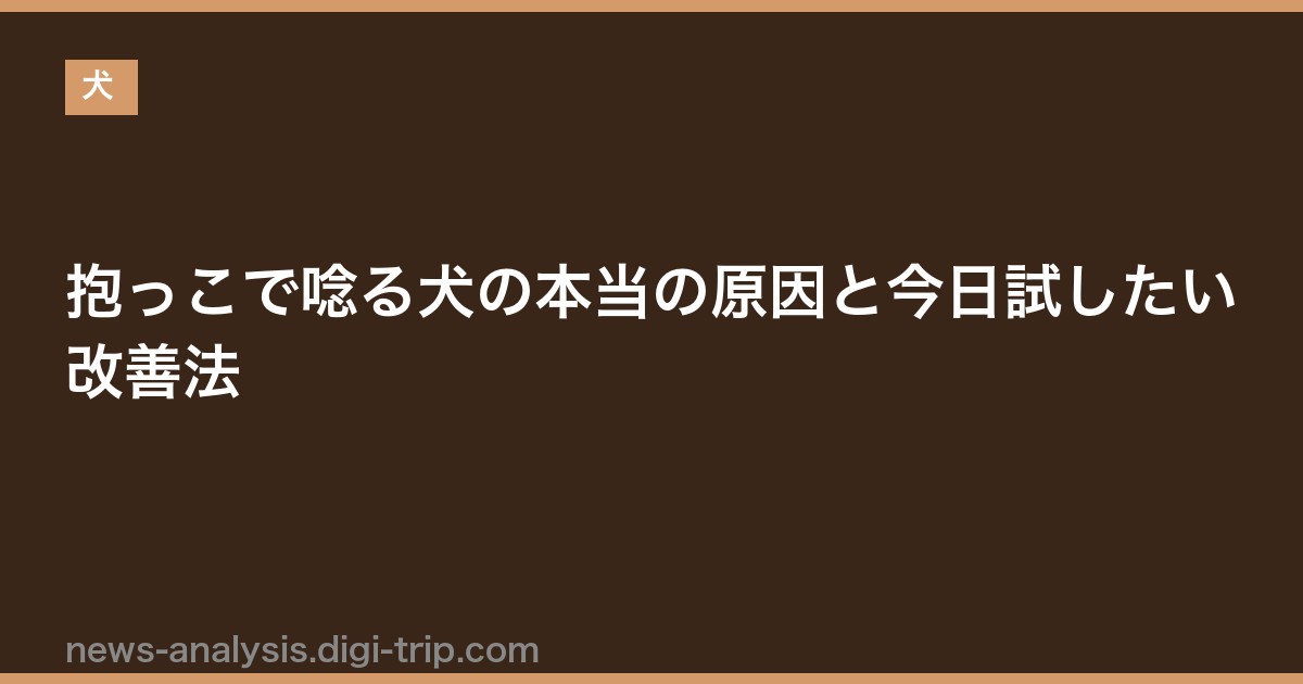 抱っこで唸る犬の本当の原因と今日試したい改善法